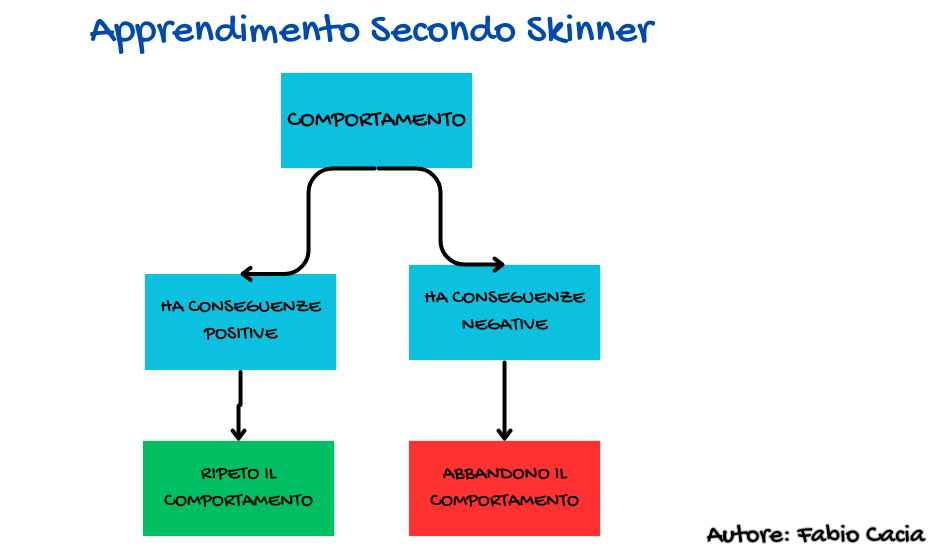 You are currently viewing Condizionamento operante: storia di un gatto e un topo